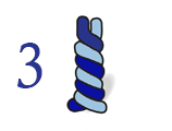 The Doubling Process - Step 3
